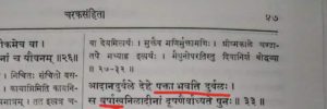 Ayurveda autophagy and healthy life