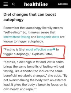 Ayurveda autophagy and healthy life