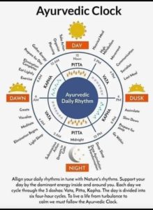 Health Immunity Antibodies Ayurveda Lifestyle