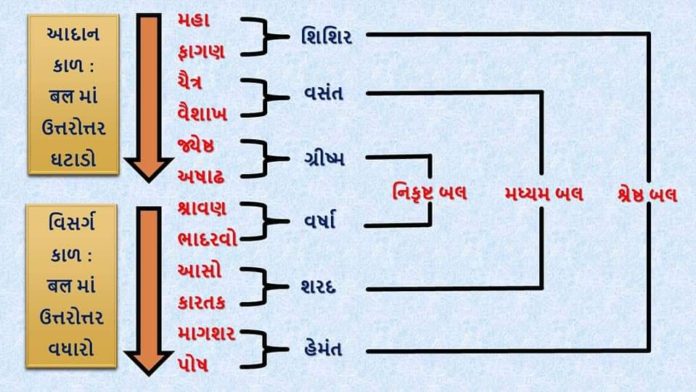 Health Immunity Antibodies Ayurveda Lifestyle